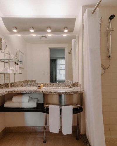 King Room Near Discovery Green in Houston HOU 4 Luxury Bookings