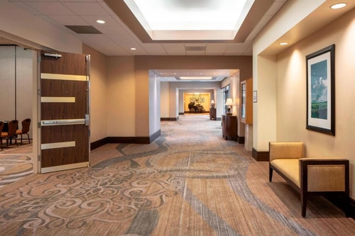 Queen Guest Room Near Dyer Stadium HOU 5 Luxury Bookings