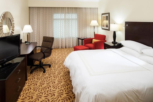 King Room Near George Bush Park HOU Luxury Bookings