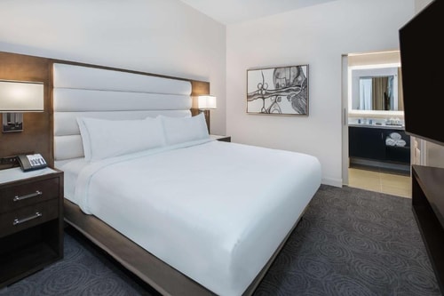 King Studio Suite Near George Bush Park HOU Luxury Bookings