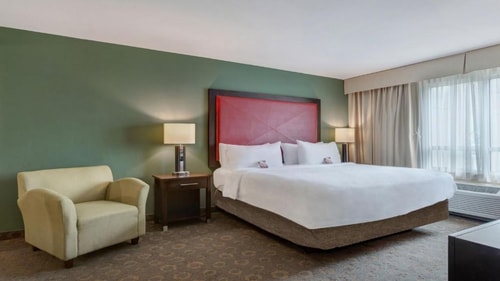 Standard King Room Near Language Transition HOU Luxury Bookings