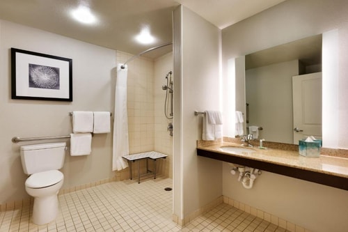 King Studio With Sofa Bed Near Cullen Park HOU 5 Luxury Bookings