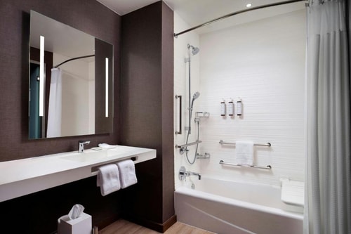 King Room Near Dallas World Aquarium DAL 5 Luxury Bookings