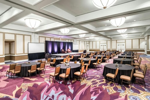 King Room Near Heart of Texas Classic DAL 7 Luxury Bookings