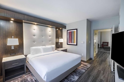 Premium King Suite Near Don McGill Toyota HOU Luxury Bookings