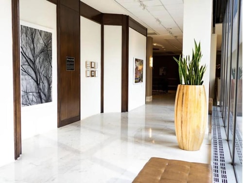 Standard King Room Near Harmonica Man Park HOU 4 Luxury Bookings