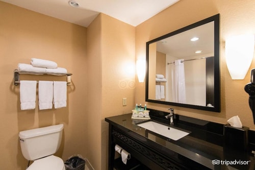 Standard Room Near Dallas Collision Center DAL 2 Luxury Bookings