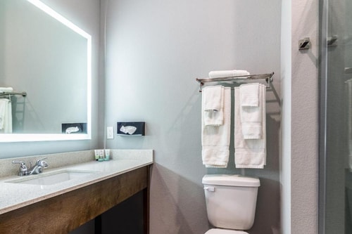 Deluxe King Studio Near Harmony Garden HOU 8 Luxury Bookings