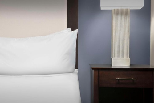 Studio Suite Near Dallas Underground Walkways DAL 4 Luxury Bookings