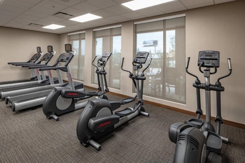 King Studio Near Dallas Animal Services DAL 7 Luxury Bookings