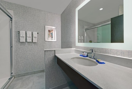Standard King Room Near City Centre Houston HOU 5 Luxury Bookings