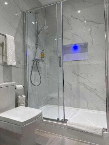 Standard Double Room Near Ecclestone Square LON 3 Luxury Bookings