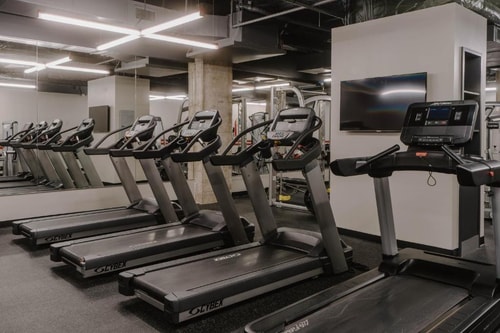 King Room Near Discovery Green in Houston HOU 11 Luxury Bookings