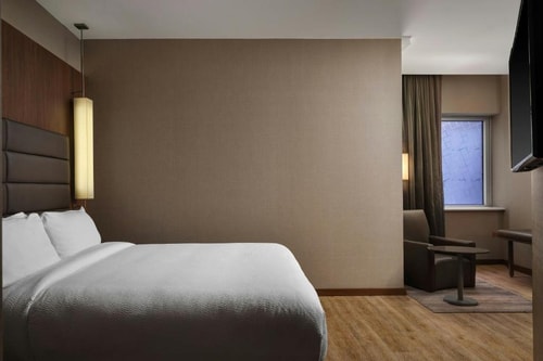 King Room Near Dallas World Aquarium DAL Luxury Bookings