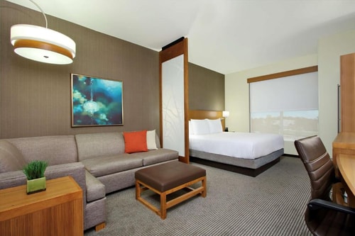 King Room Near Layne Hendrix Memorial Bench HOU Luxury Bookings