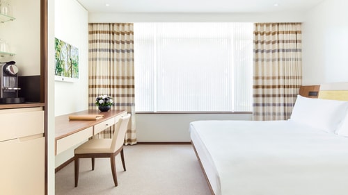 Deluxe Double Room Near The Green Park London LON Luxury Bookings