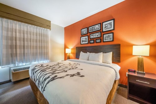 King Room Near Revolution Soccer Complex HOU Luxury Bookings