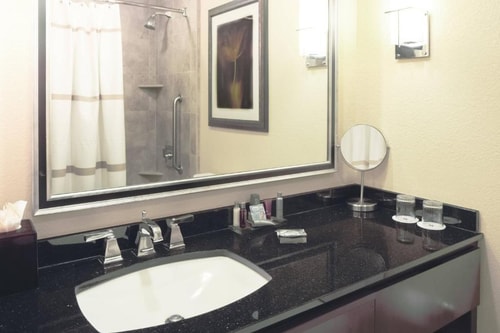 King Room Near George Bush Park HOU 3 Luxury Bookings