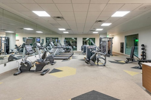 King Room Near Chipotle Mexican Grill DAL 16 Luxury Bookings