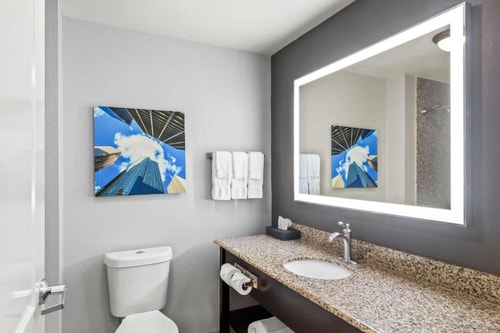 King Room Near Shadowbriar Elementary School HOU 5 Luxury Bookings