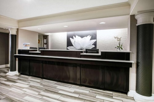 Deluxe Room Near The Charlotte American Bistro DAL 11 Luxury Bookings