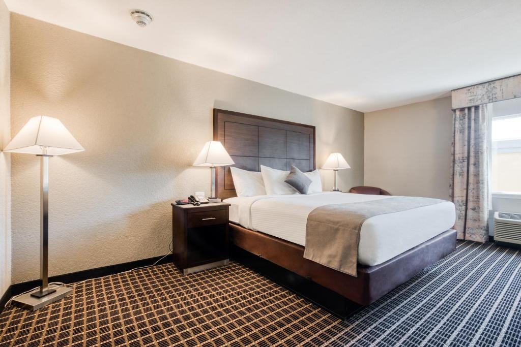 King Room Near Lake point Church North Dallas DAL Luxury Bookings