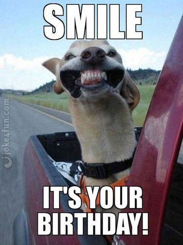 Test Fred Listing TItle WP-CLI