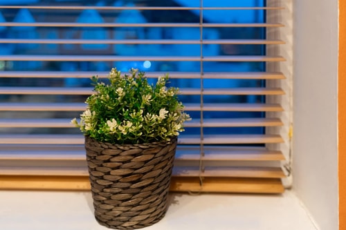 Charming 2-Bed Flat with Garden 26 The Upgrade Authority