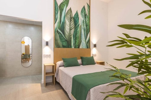  5 Apartamentos Alnatur