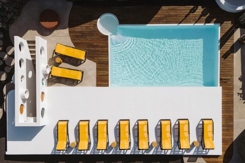 Canaryislandshost I Natural I