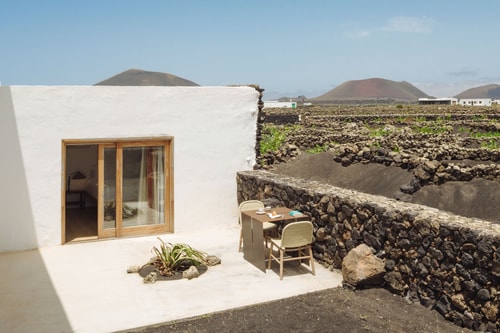 Canaryislandshost I Camellera II