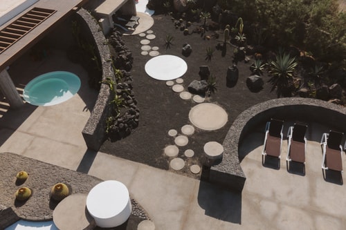 Canaryislandshost I Nativo