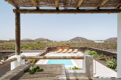 Canaryislandshost I Camellera I
