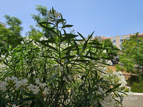 Candya private apartment