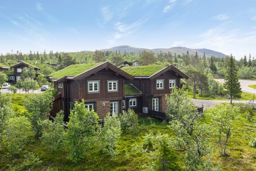 Sauna | Ski-in/out | Wi-Fi | EV Charge | Pets OK 9 Lofsdalen Home