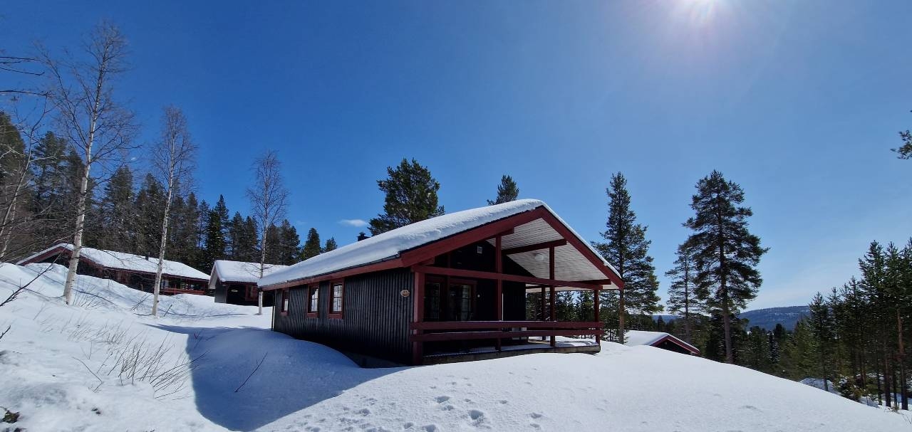 Bastu | Wi-Fi | Terrass | Braskamin | Kabel-TV 12 Lofsdalen Home