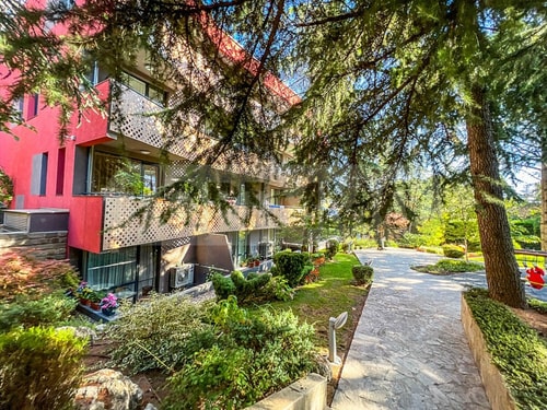 Aquarelle - city forest chill