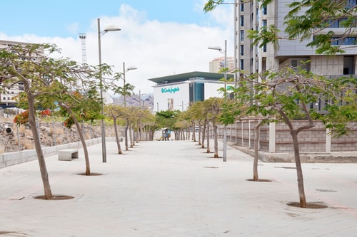 Eden Rentals Altavista Suites Apto Torre 1 17 EdenRentals