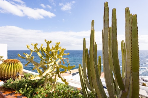 EDEN RENTALS SUNRISE CALETILLAS 11 EdenRentals