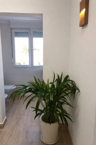 Eden Rentals Oasis Boho 1 54 EdenRentals