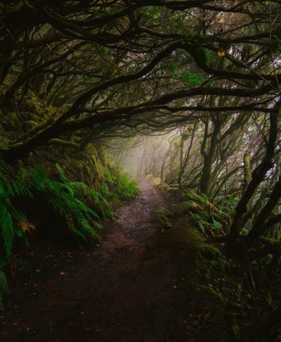 Eden Rentals Oasis Penthouse 46 EdenRentals