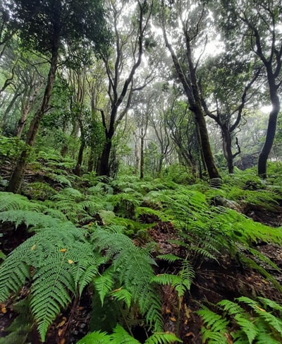 Eden Rentals Oasis Penthouse 45 EdenRentals