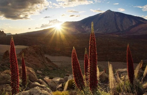 Eden Rentals Oasis Penthouse 44 EdenRentals