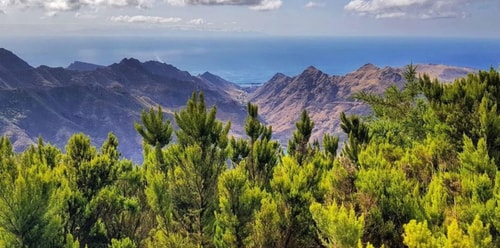 Eden Rentals Oasis Penthouse 41 EdenRentals