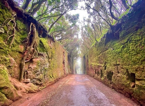 Eden Rentals Oasis Penthouse 43 EdenRentals