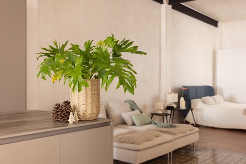 Premier Penthouse by Eden Rentals 23 EdenRentals