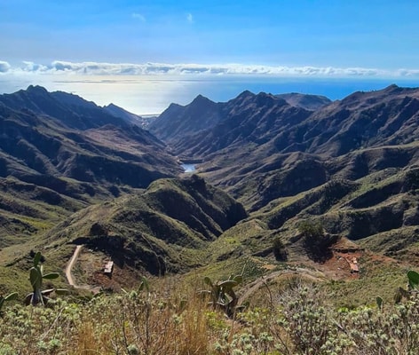 Eden Rentals Oasis Penthouse 49 EdenRentals