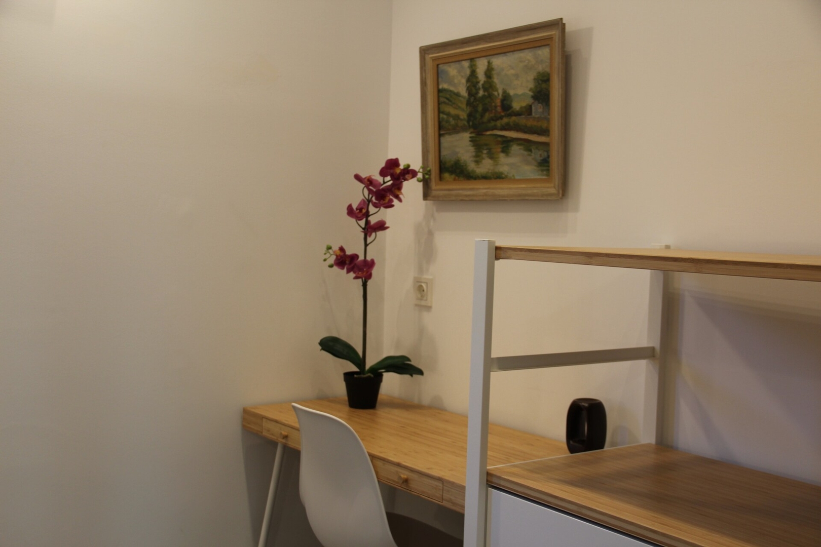 Apartamento rural Eki 17 Sanse Holidays - Alojamiento en San Sebastián