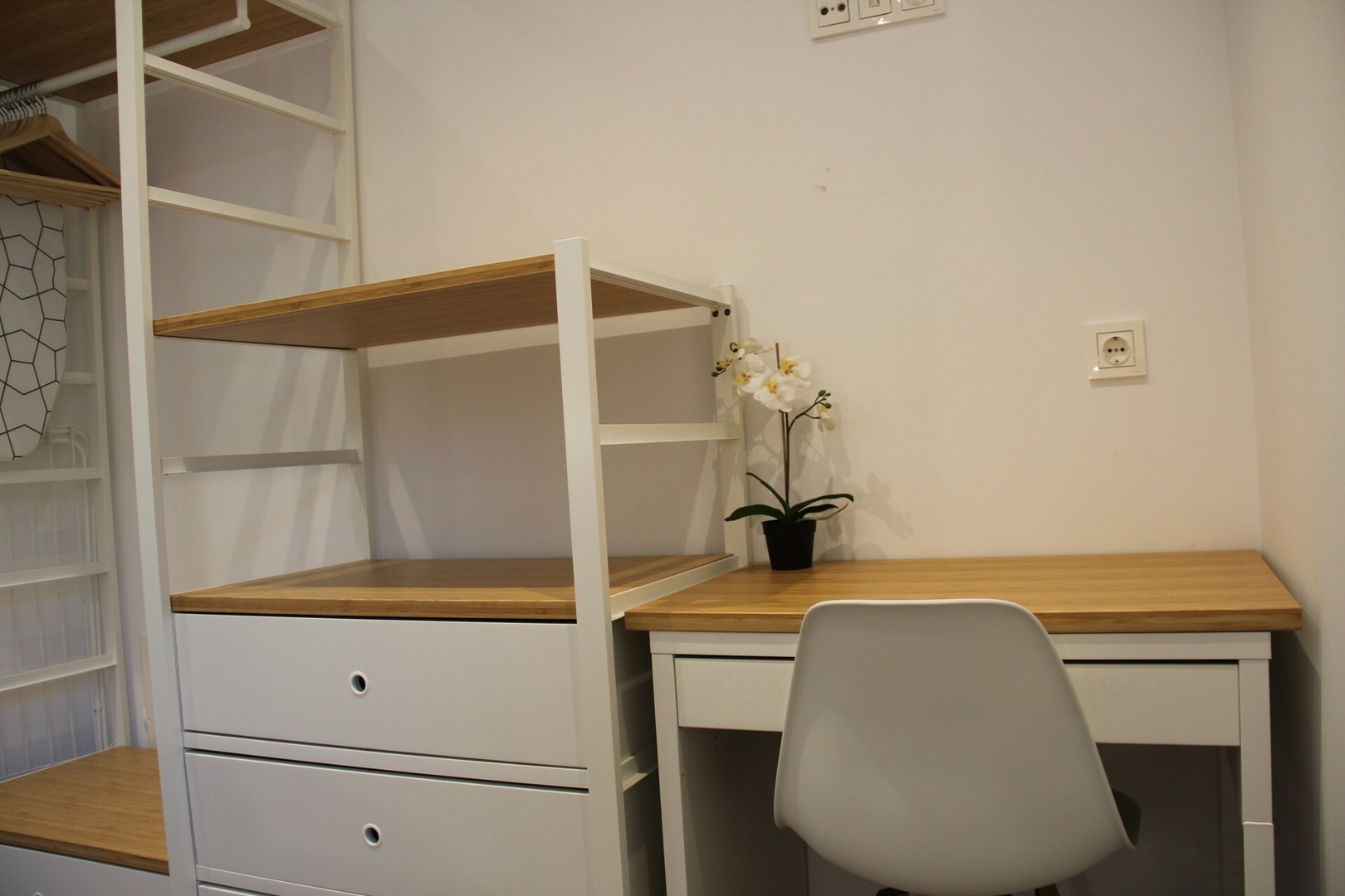 Apartamento rural Hego 10 Sanse Holidays - Alojamiento en San Sebastián