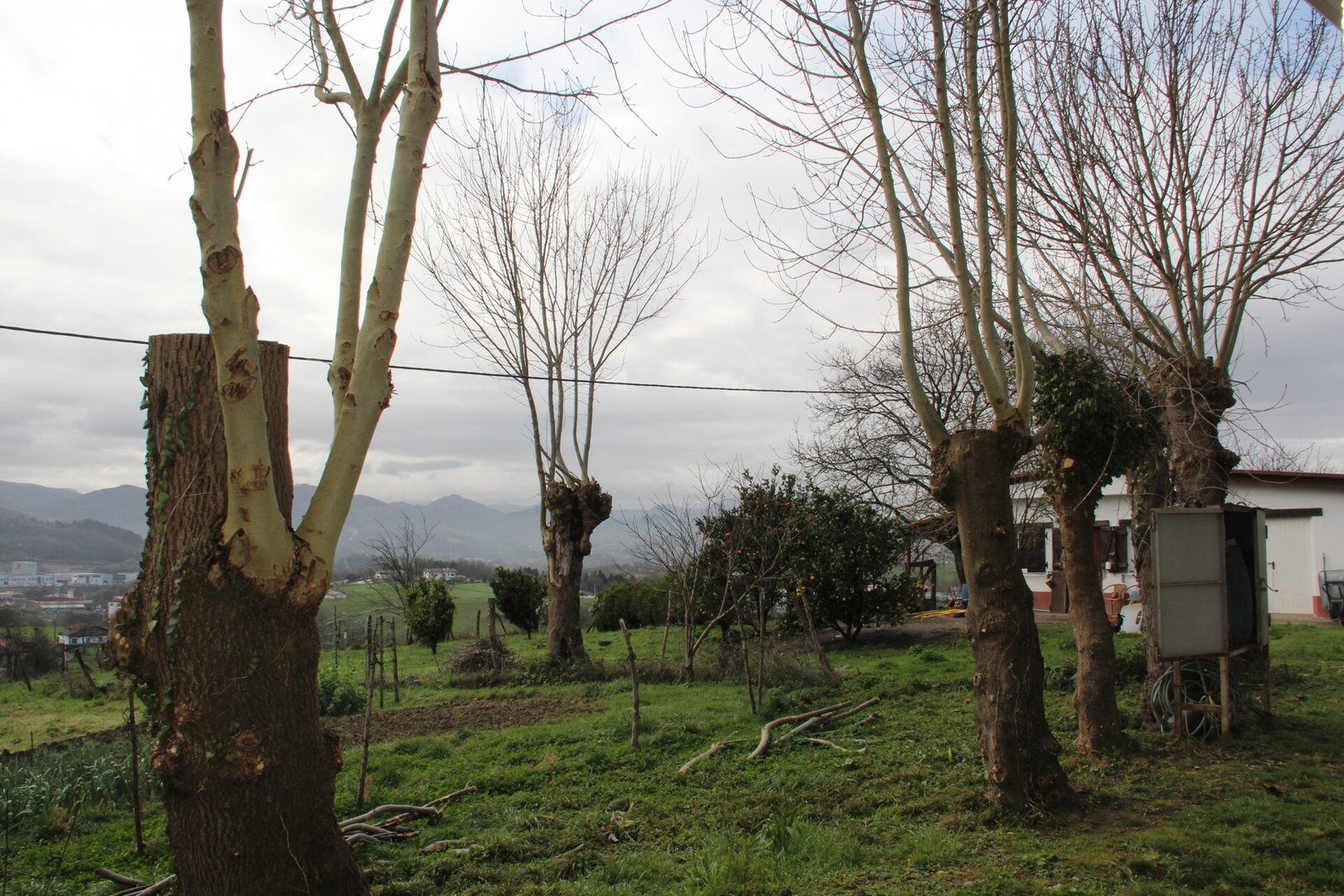 Apartamento rural Mende 18 Sanse Holidays - Alojamiento en San Sebastián